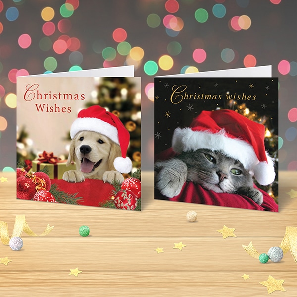 Charity Christmas Cards x 12 Photographic Dog and Cat Garlanna