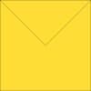 yellow2