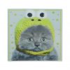 G2249-cat
