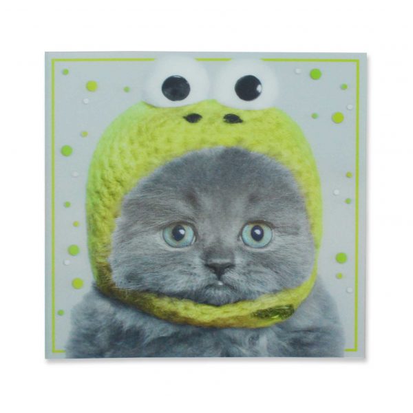 G2249-cat