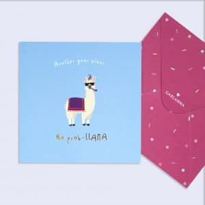 Little Moments No prob-llama