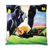 141599 EOC Cushion Belle